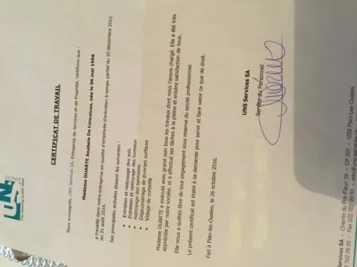 Nettoyage . à Annemasse