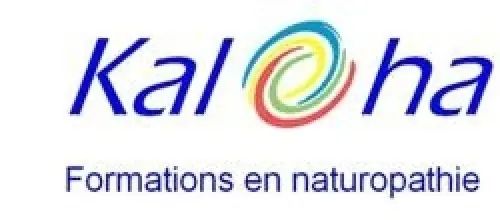Formation complète en Réflexologie    à corcelles