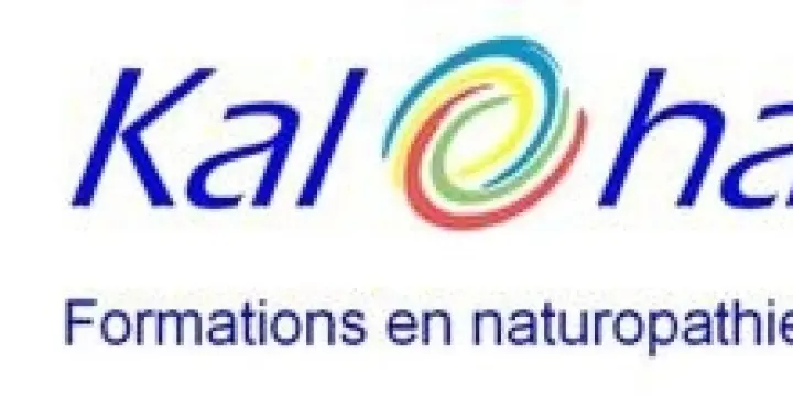 Formation complète en Réflexologie   