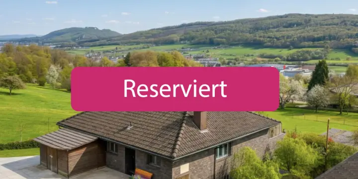 Alpensicht und Ruhe - exklusiv wohnen in Hägendorf