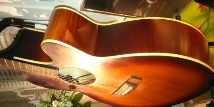 Guitare electro acoustique takamine(eg54