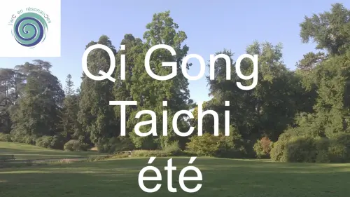 Qi Gong et Taïchi tout l'été à Vernier et au parc à Châtelaine