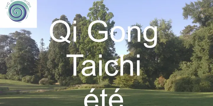 Qi Gong et Taïchi tout l'été à Vernier et au parc