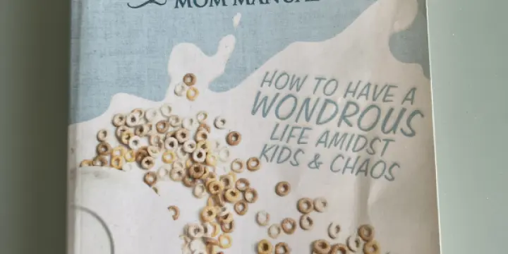 The essential Stay-at-home - Mom Manual - Shannon Hyland-tassava