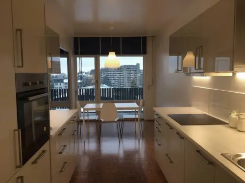 Grand appartement 2 Pieces à geneve