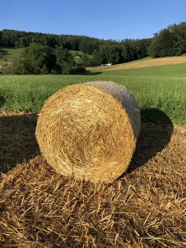 Heu in Rundballen à St. Moritz