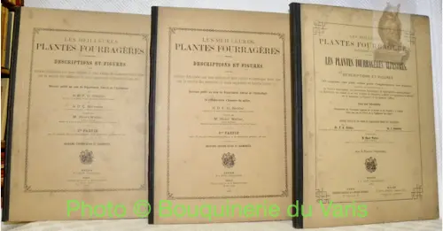 Les meilleures plantes fourragères. Descriptions et figures avec notices détaillées sur leur…