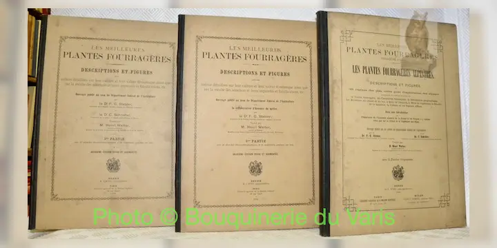 Les meilleures plantes fourragères. Descriptions et figures avec notices détaillées sur leur…