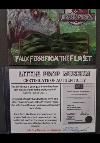 Fausse Fougères utilisée sur le plateau de Jurassic Park 3 à Sembrancher