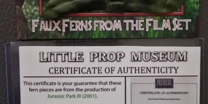 Fausse Fougères utilisée sur le plateau de Jurassic Park 3