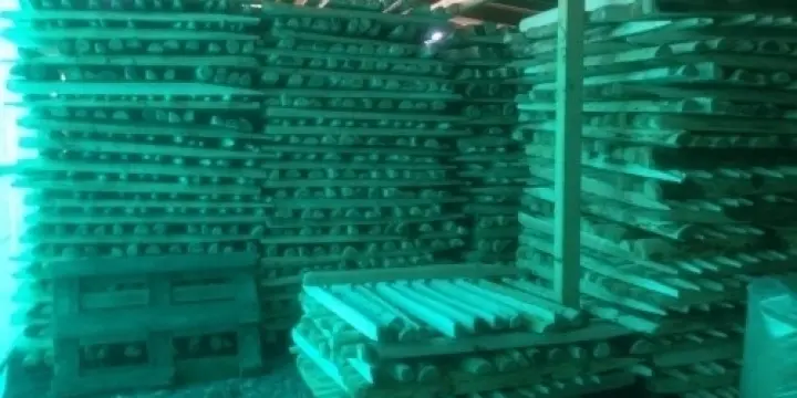 Piquet de clôture en sapin