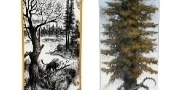 Rossignol Jérémy Jones NEUF 2008