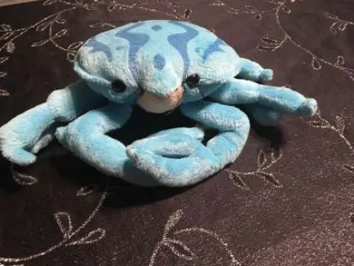 Plusieurs peluches à morges