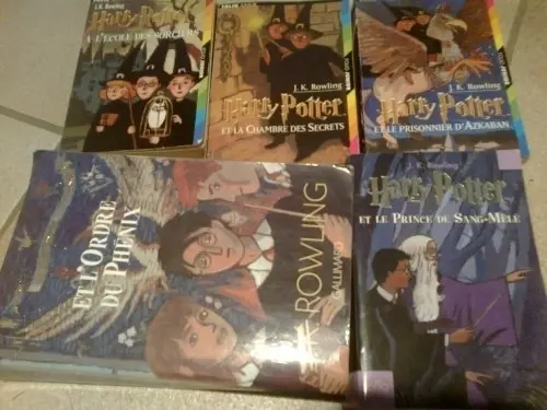 la saga Harry Potter- J.K Rowling à Pont-de-la-Morge