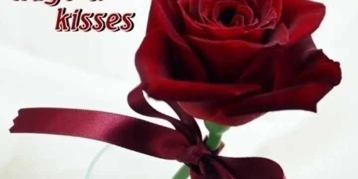 une relation sérieus,amour ,amitié