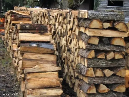 bois de chauffage à genève