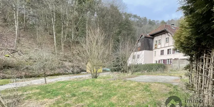 Grundstück naturnah und mit viel Potential