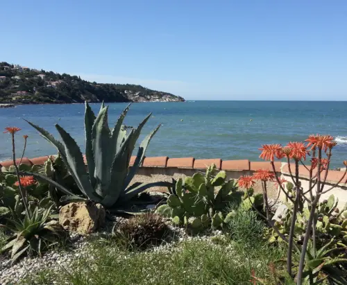 Joli Pavillon pieds dans l’eau - VAR - France à LE PRADEET