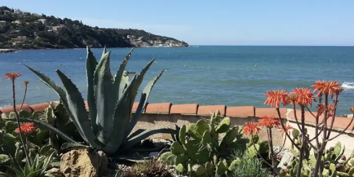 Joli Pavillon pieds dans l’eau - VAR - France