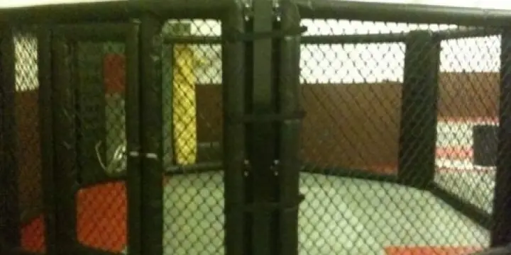 cage mma free fight pancrace ring boxe