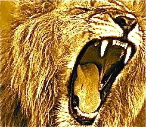 Cours de chant et Coaching Vocal à Neuchâtel
