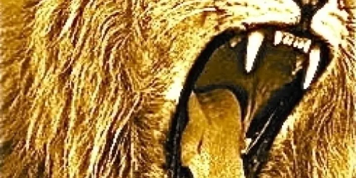 Cours de chant et Coaching Vocal