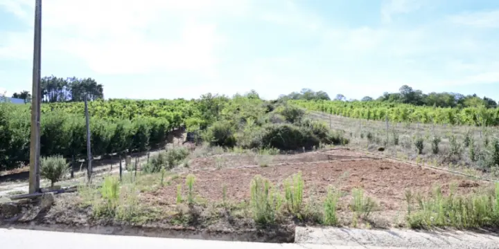 Vente terrain 3 200 m2 à Armamar (Portugal)