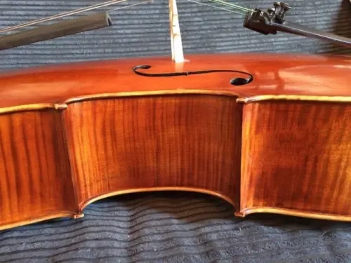 Violoncelle à Sils im Engadin/Segl