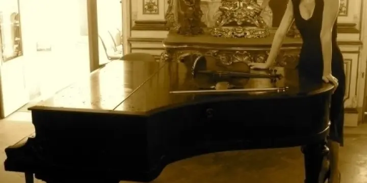 Cours de violon - Violoniste Pro