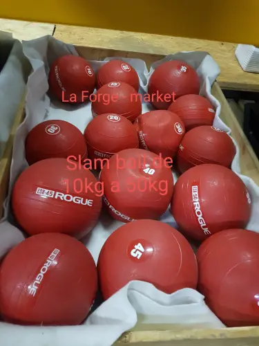 Slam Ball Rogue de 5 livres à 50 livres à Sierre