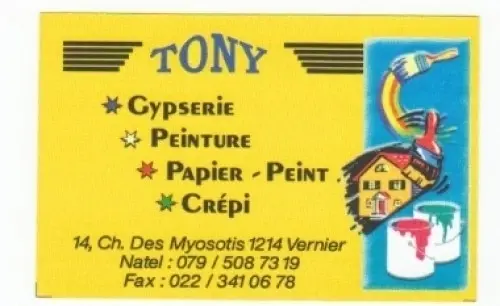 Peintre indépendant 25 ans d'expérience. à Genève