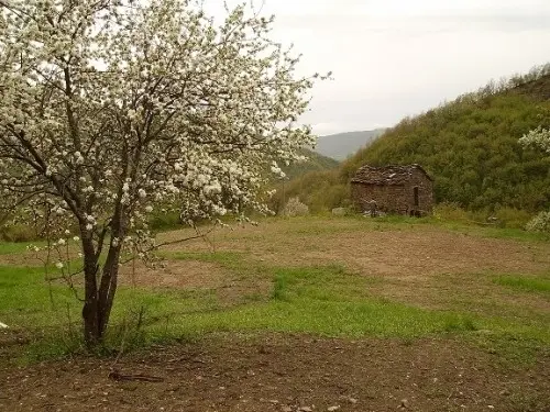 8000 M² terrain en Italie, avec chalet à Bardi