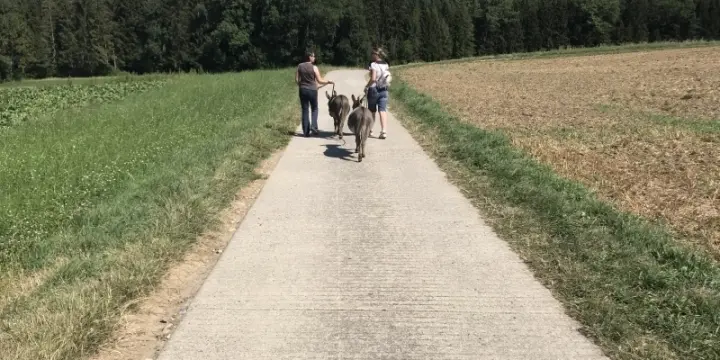 Accompagnement psycho-spirituel