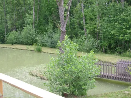 etang avec terrain à HINDLINGEN
