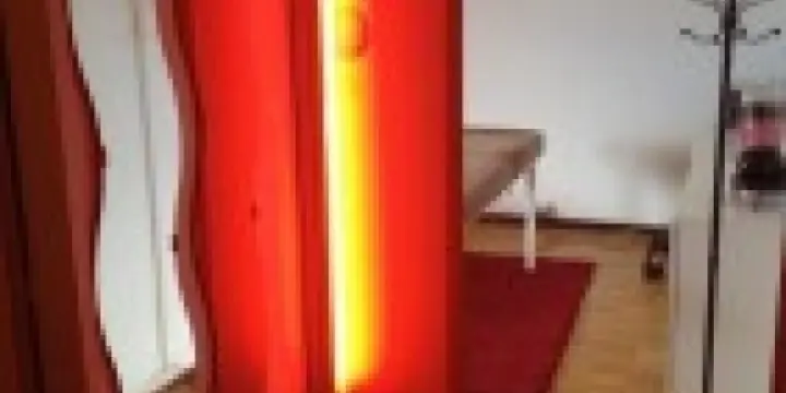 Vevey, chambrer pr masseuse indépendante