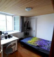 Image 7