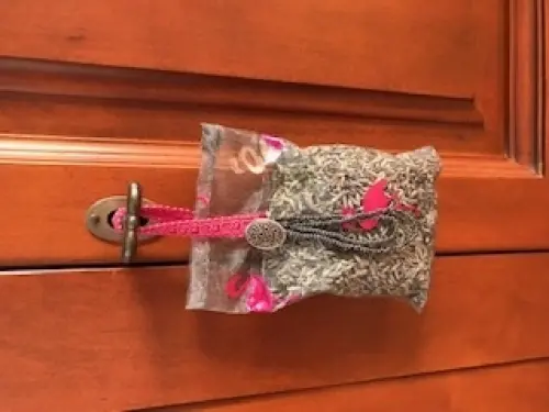 ballotins de lavande fraîche à ROQUEFORT LES PINS