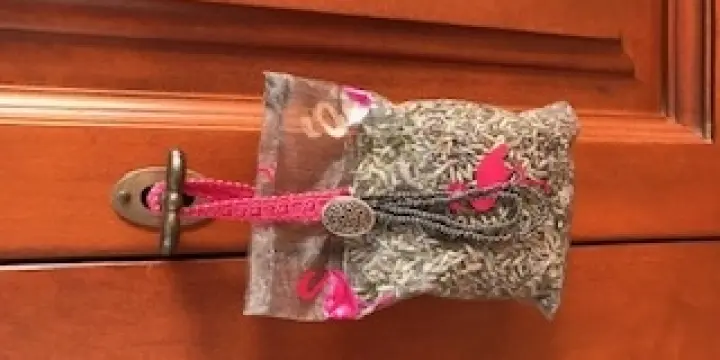 ballotins de lavande fraîche