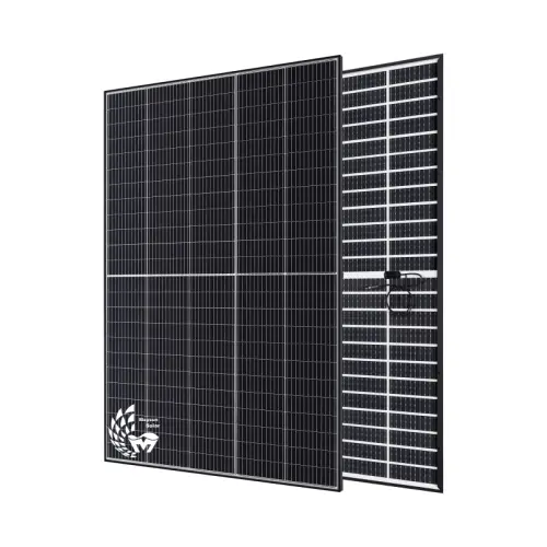 TwiSun 410W panneau solaire bifacial avec cadre noir à Bern