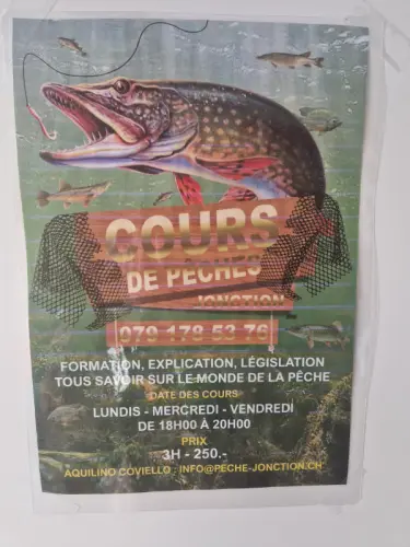 cour de pêche Brochet Débutant à Ginevra