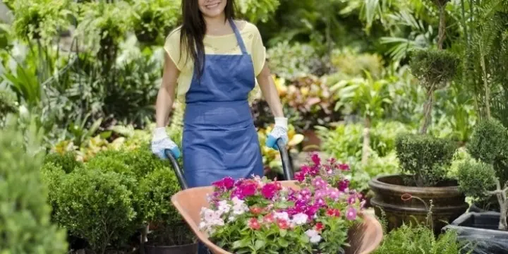 L'assistant pour le jardin