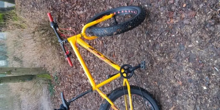 je vend mon fat bike 