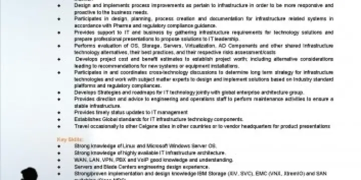  IT Infrastructure Architect (NE) 
