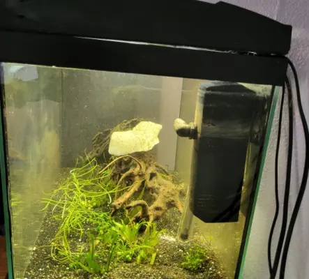 Aquarium 60 litres avec filtre chauffage et accessoire