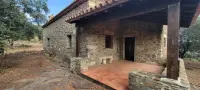 Image 15