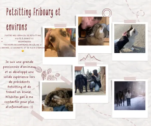 Services de Petsitting à Fribourg