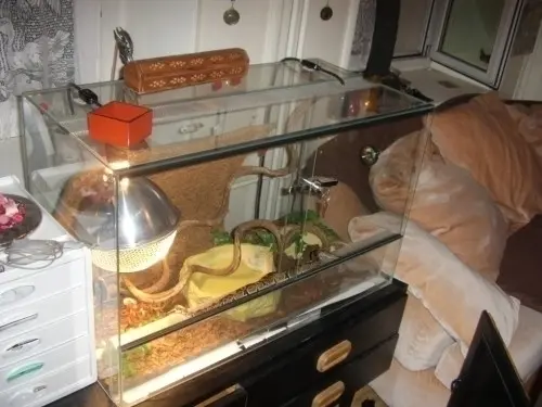 urgent très beau terrarium à le locle