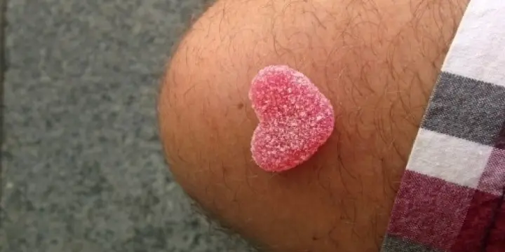 Gourmand à dispo pour votre plaisir