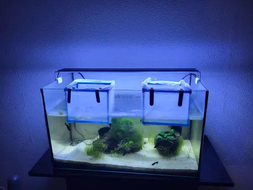 Vend aquarium 60 litres à Lausanne