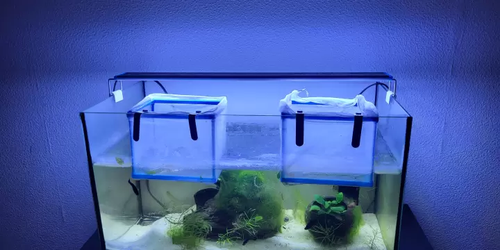 Vend aquarium 60 litres